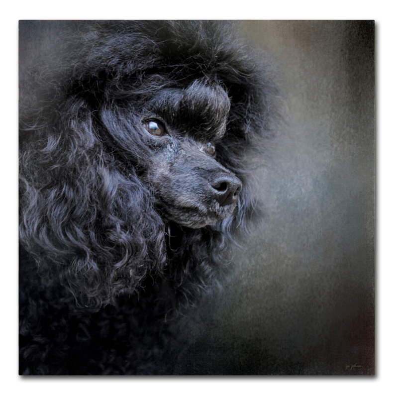 «Snack Spotter Toy Black Poodle», impression sur toile tendue Vidur, H 14 po x l 14 po