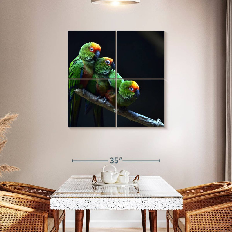 Brampt Golden Capped Parakeets, 38" H x 38" W