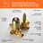 All-In-One Kit with Rough in-Valve-66360852