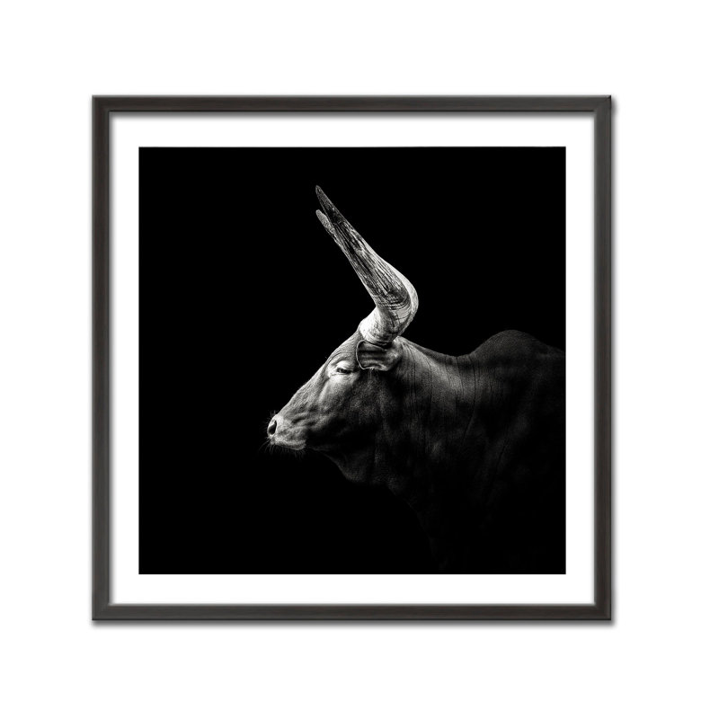 Nature Inspired Watusi by  - Picture Frame Photograph on Paper, 16" H x 16" W 