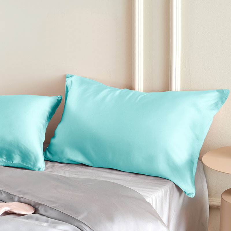 Taie d'oreiller zippée en soie de mûrier naturelle 19 mommes, housse de coussin double face en soie véritable pour les cheveux et la peau, vendue à l'unité - NTBAY