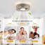 Ceiling Fan with LED Lights