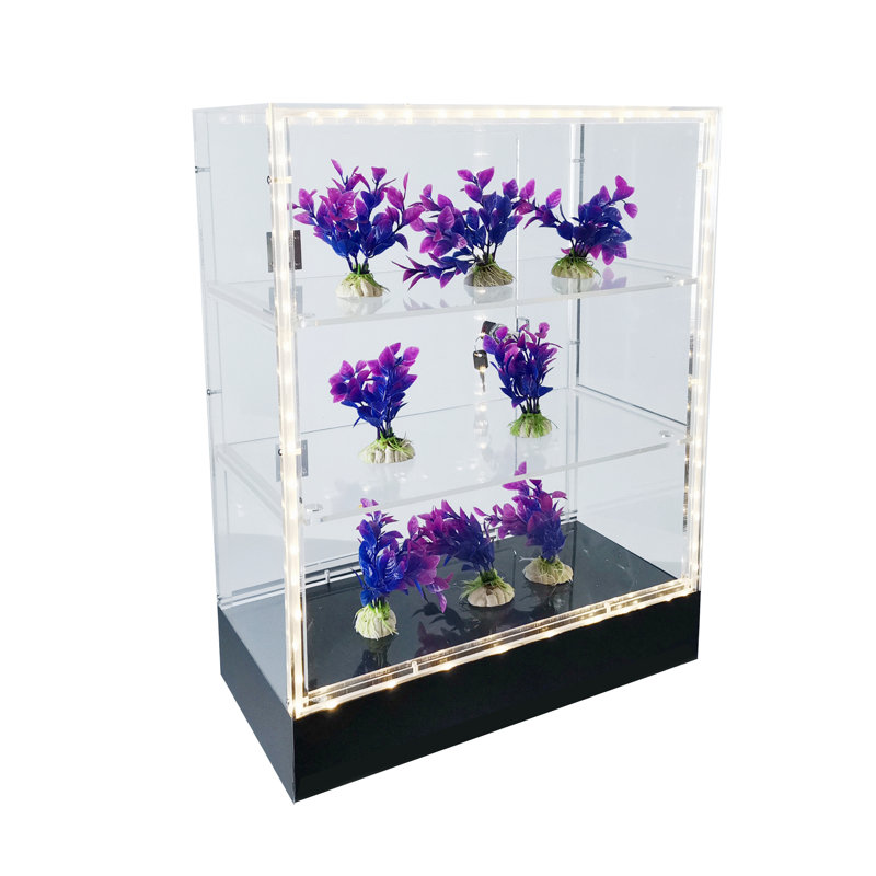 Clear Cabinet Acrylic Display Removable Shelf Case Plexiglass Showcase with Lock and Key Transparent