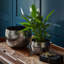 Hammered Metal Indoor Planter Bowl-35318725-35458531
