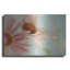Winston Porter «Daisy Days» par Judy Stalus, art mural en métal-1237726655