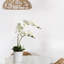 Arrangement de soie orchidée en pot-1709239945