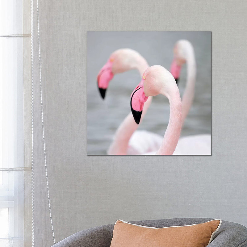 Cattitude II by Myles Sullivan - Floater Frame Print on Canvas, 66.04 cm H x 66.04 cm W x 1.91 cm D, Wrapped Canvas