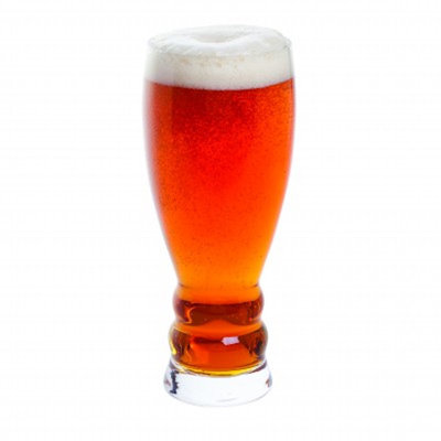 Dartington Crystal Brew Craft 570ml Beer Glass