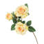 Fleur de sucre en aérosol-1730976776