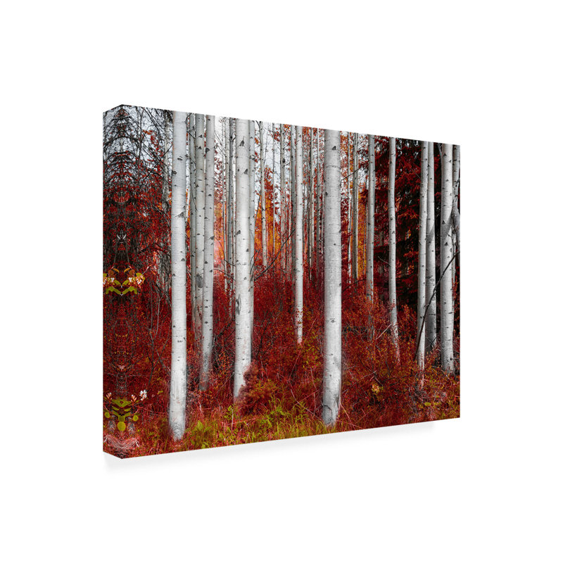 « Fall Birches » par Vladimir Kostk-reproduction de photo sur toile