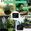 Humidificateur Reptile Terrariums Mister Fogger