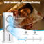 Refroidisseur par évaporation portable 763 CFM