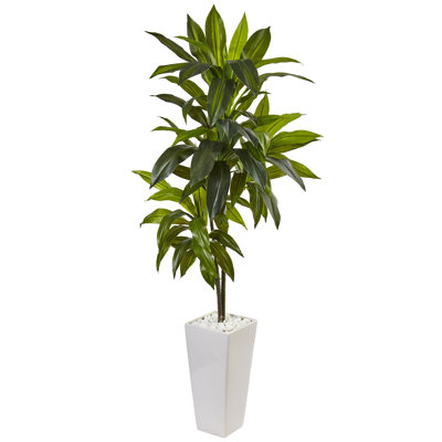 36'' Faux Dracaena Plant in Ceramic Planter