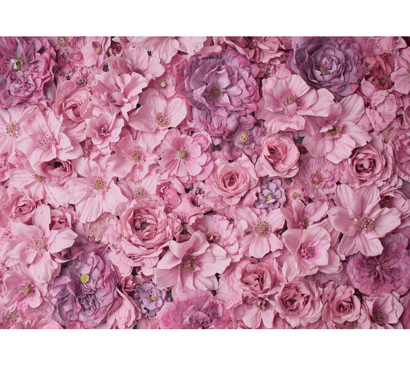 Blushing Abstraction