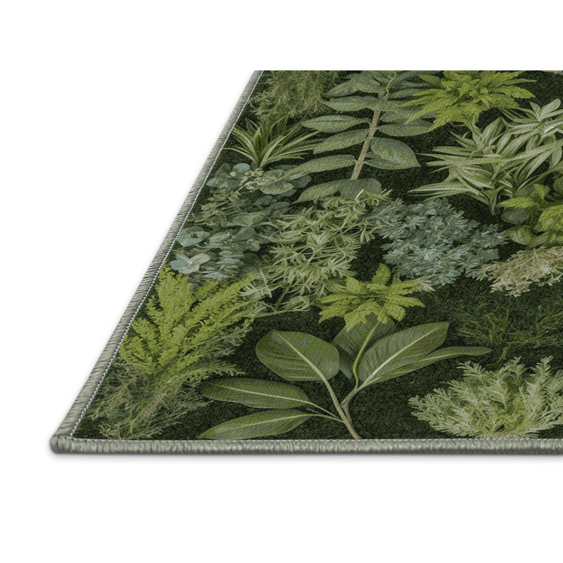 Machine Washable Nature Green Area Rug, Rectangle 2' x 3'