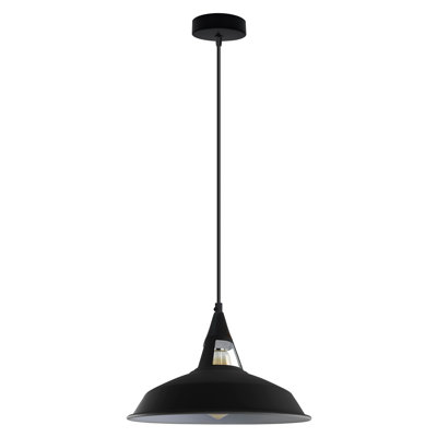1 - Light Single Pendant