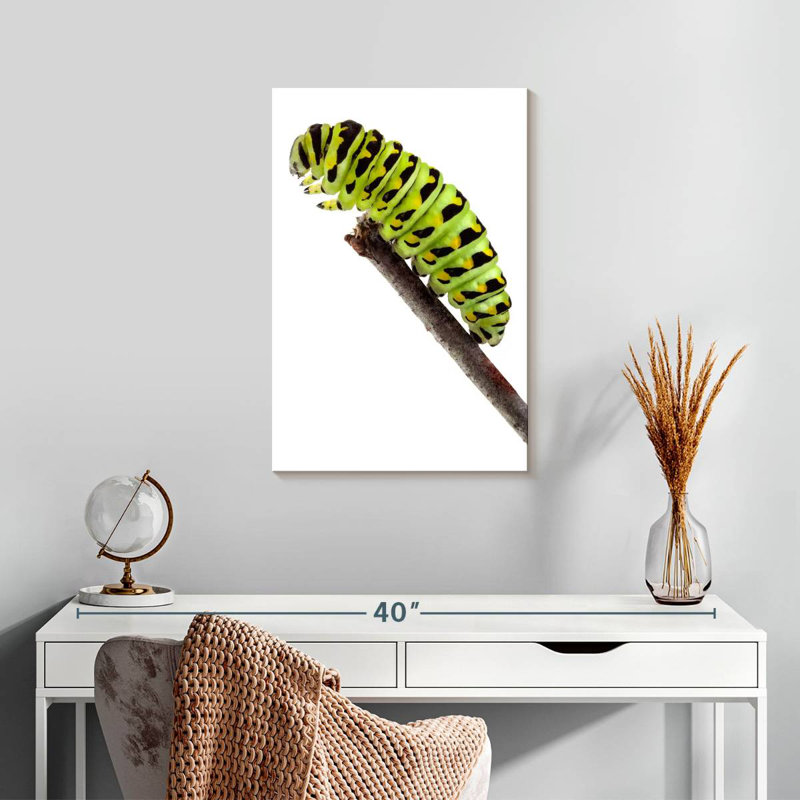 Chenille verte, H 24 po x l 16 po