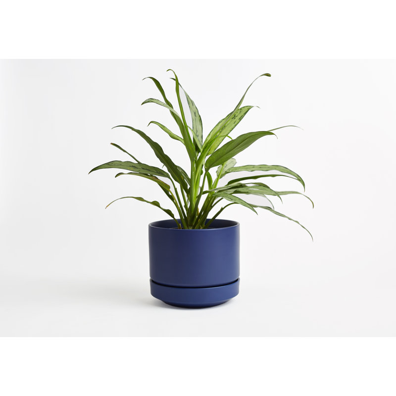 Pot à fleurs en céramique Byer, H 7,5 po x l 8,75 x P 8,75, Bleu