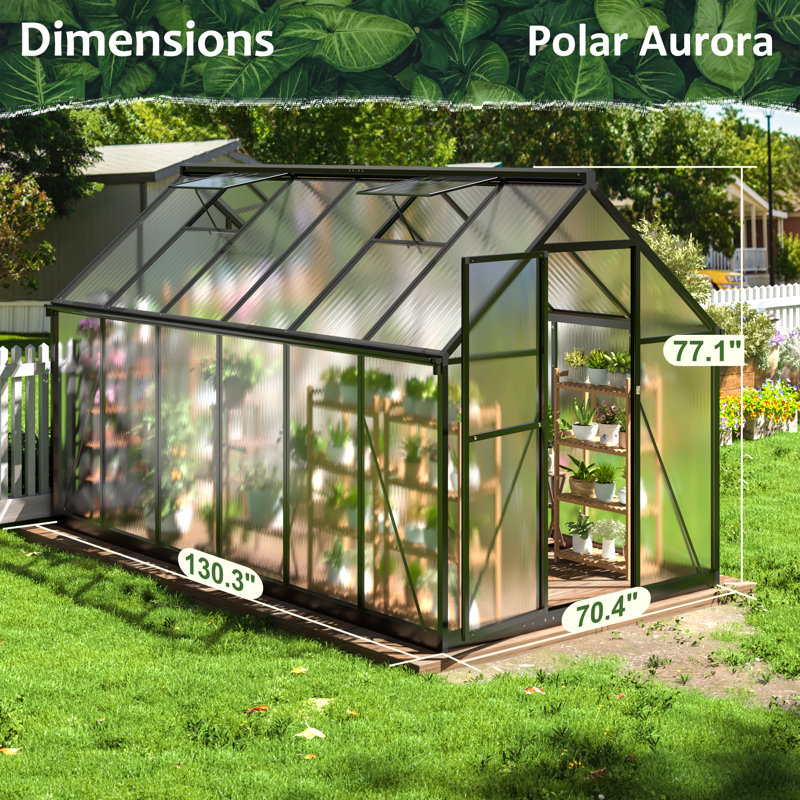 Greenhouse for Outdoors, Polycarbonate Greenhouse, 6x11 FT