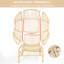 Swing Egg Chair With Cushion And Ottoman-420895871-420895870