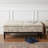 Storage Bench, 48"L x 20.5"W x 19.5"H, Dual Lift, Old-World Print | Black | Wood