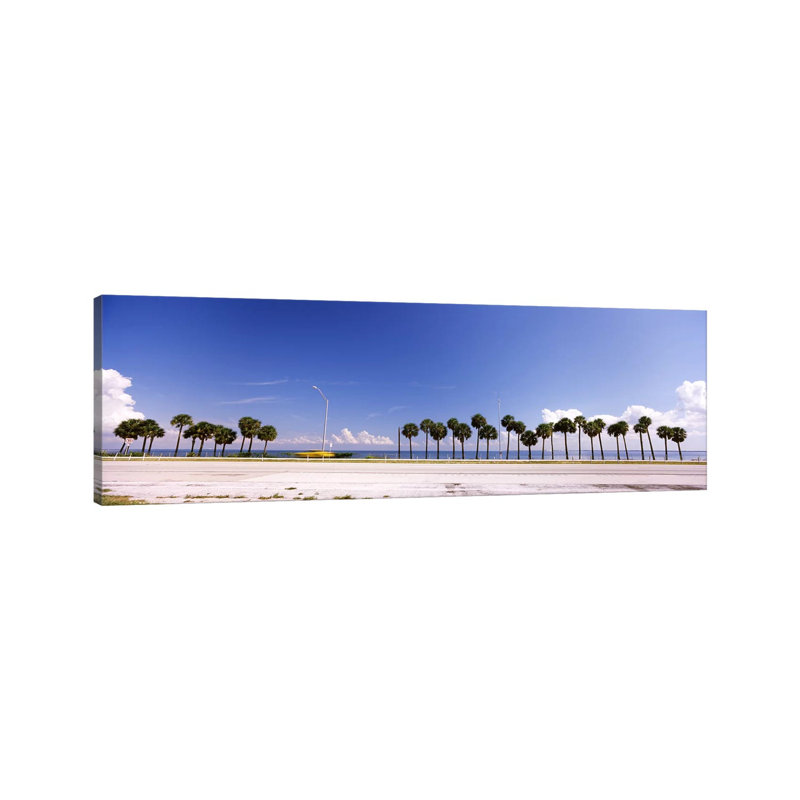 Palm Trees at the Roadside, Interstate 275, Tampa Bay, Gulf of Mexico, Florida, USA 1 Piece Wrapped Canvas Panoramic Wall Art
