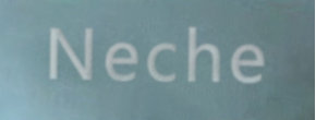 Neche Logo