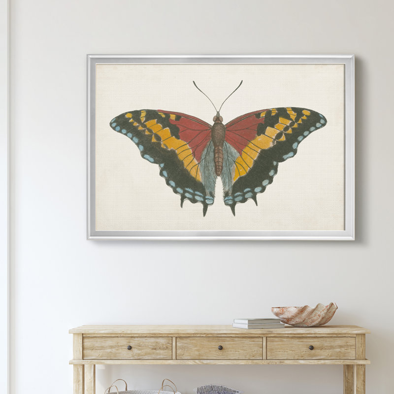 «Beautiful Butterfly IV», impression sur toile encadrée, H 18,5 po x l 24,5 po x P 1,5 po, Argent