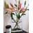 Clear Book Flowers Vase - Cute Bookshelf Decor; Unique Vase For Book Lovers