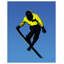 Ski Air 2 Print by Thom Filicia
