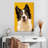Brampt Adorable Border Collie-108256587
