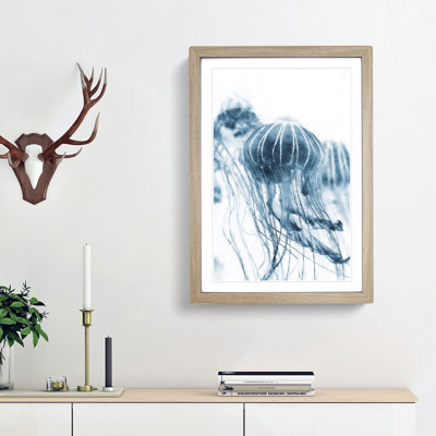 A Blue Jellyfish - Framed Print