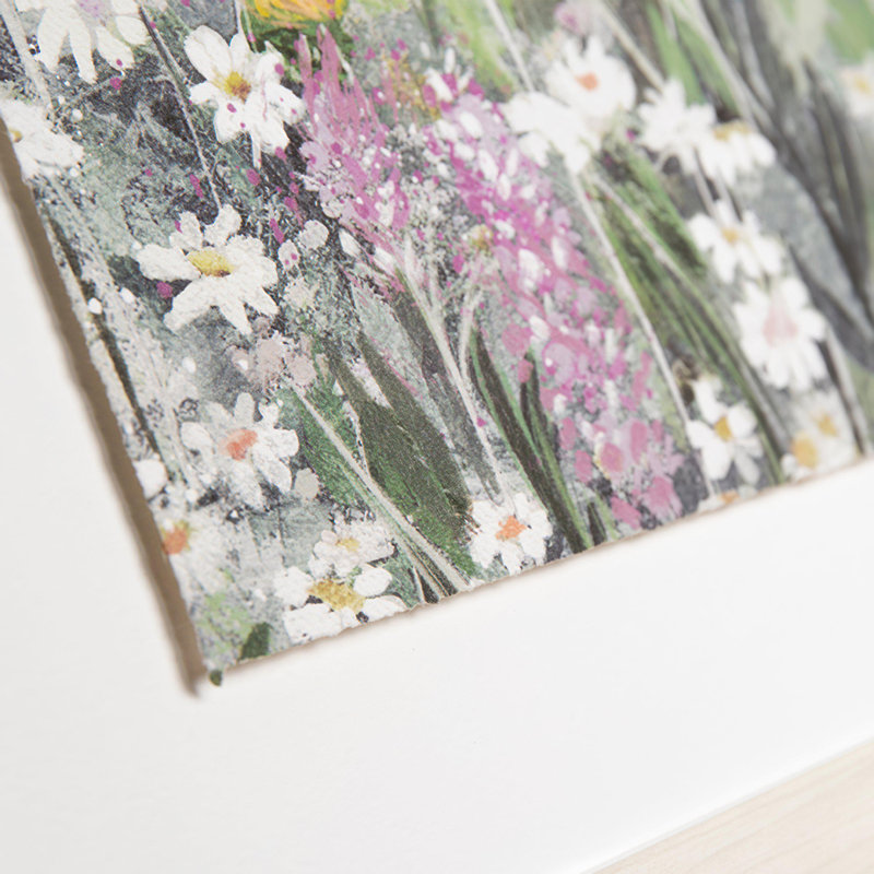 Meadow Dream 540x30mm