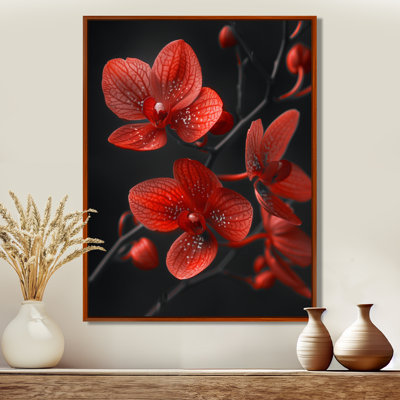 Nocturnal Nirvana rouge gris orchidées - orchidées murales salon
