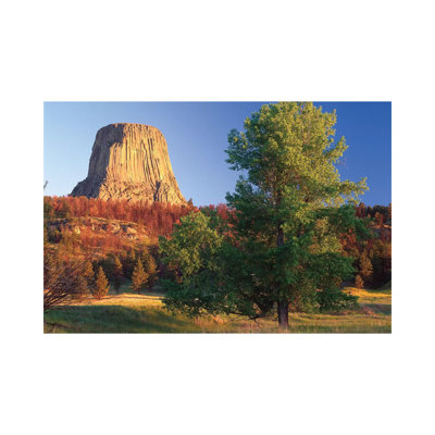 Devil's Tower National Monument Showing Famous Basalt Tower, Sacred Site For Native Americans, Wyoming I by Tim Fitzharris - Wrapped Canvas Print
