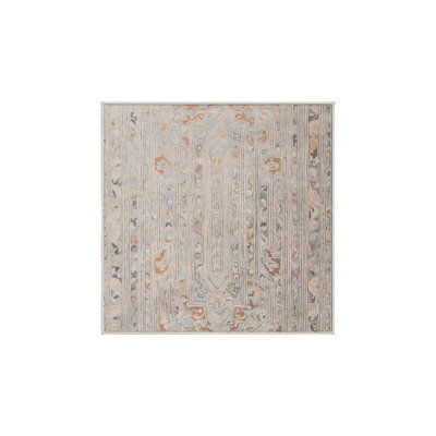 Machine Washable Beige Area Rug