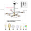Cobina 8 - Light Dimmable Sputnik Modern Linear Chandelier-1670997976