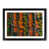 Black Framed selected