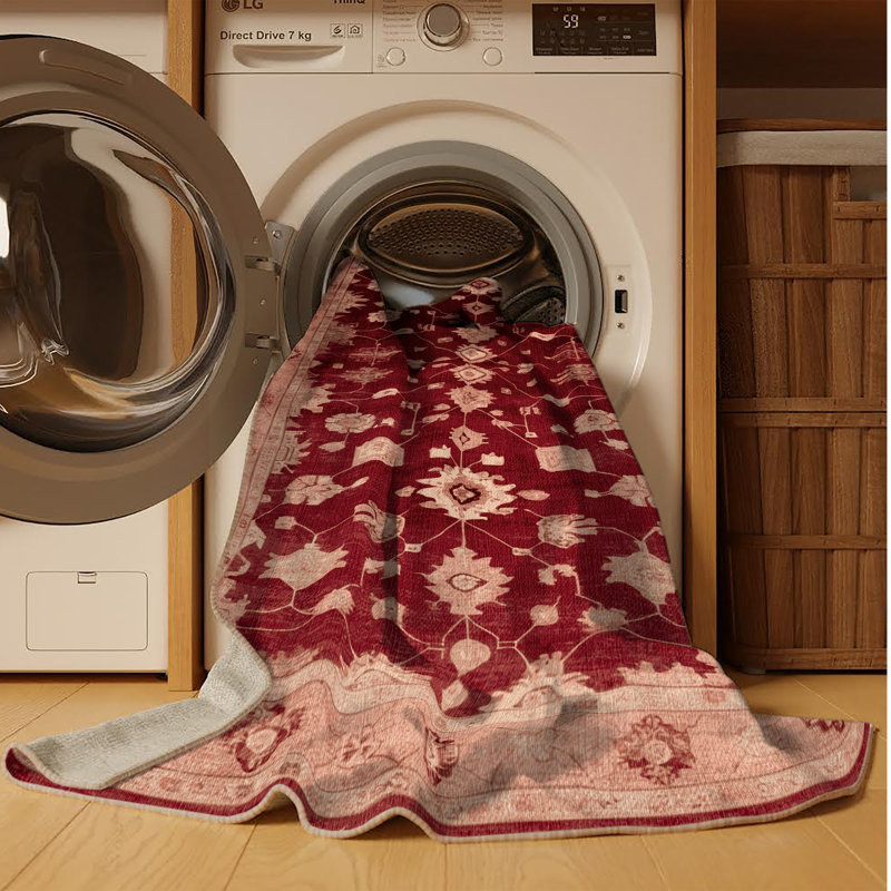 Tapis brun lavable à la machine, Rectangle 3 pi x 5 pi