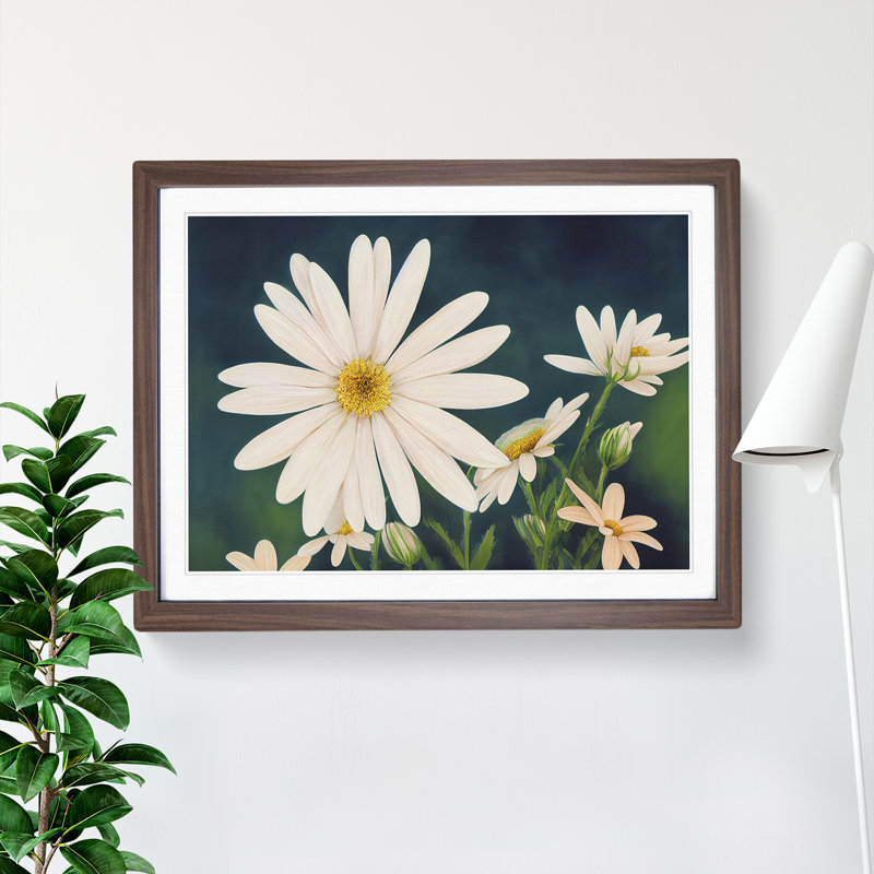 Illuminating Daisy Flowers - Single Picture Frame Print, 46cm H x 64cm W, Brown