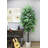 Faux Ficus Tree in Pot Liner-459885205-459885224