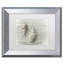 « two cancellara shells », reproduction de photo sur toile encadrée-32709778-32709783