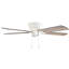 Ventilateur de plafond 52 po Hartig-89974245