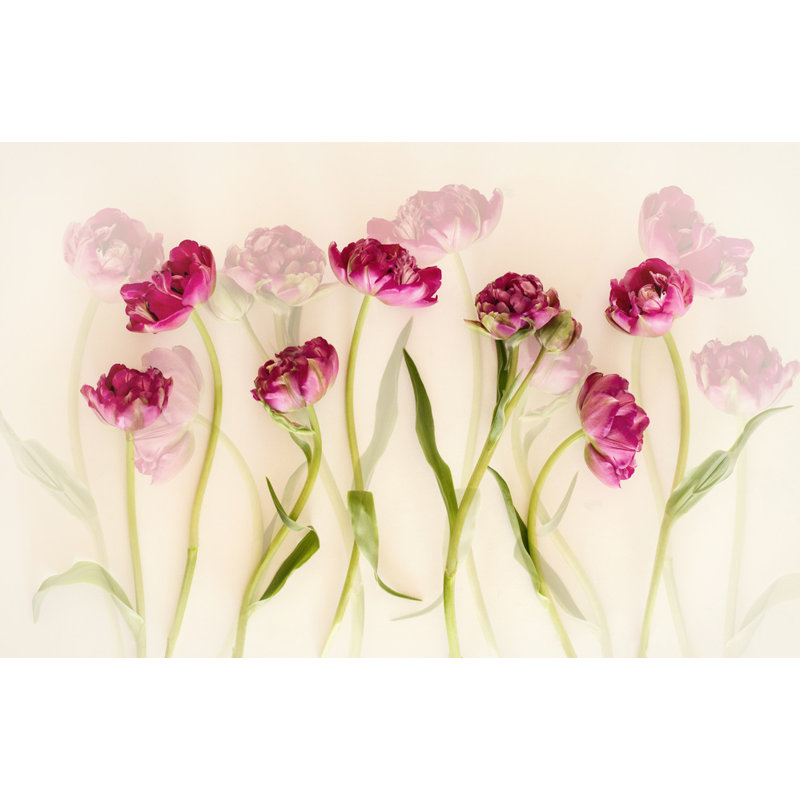 Wrapped Canvas Print, 50.8 cm H x 76.2 cm W
