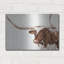  «Sp Spot Steer 3» par Annie Warren, art mural en métal-1557128710