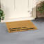Paniagua Non-Slip Outdoor Doormat