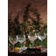Gin Journeys 18.5floz Balloon Glass