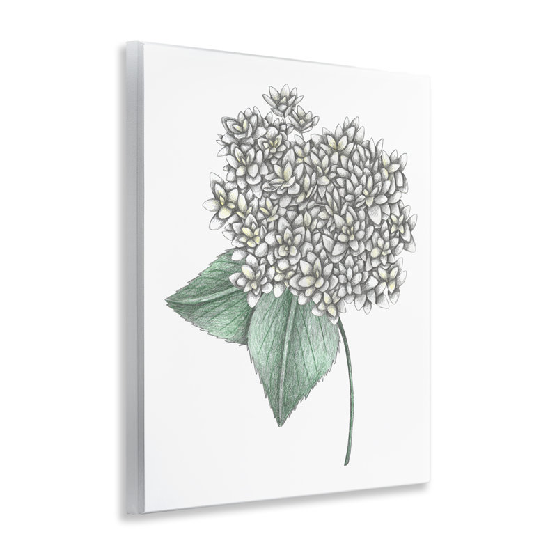 Plaque murale blanche en forme d'hortensia blanche, design par Cecilia Battaini