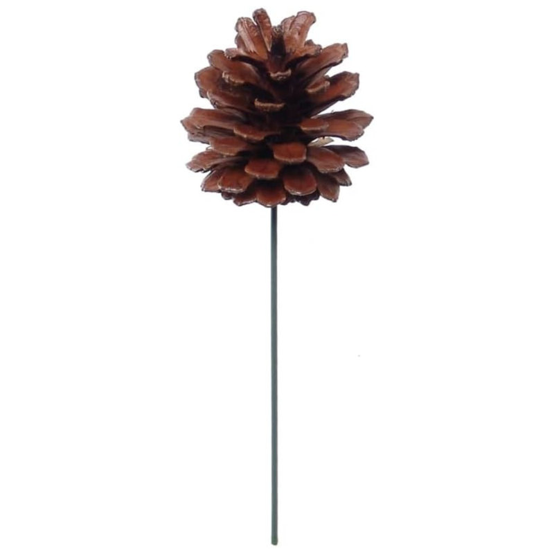 Ensemble de couronne de Noël à faire soi-même de 61 cm (24 pouces) avec pics en pommes de pin naturelles laquées de 6,35 cm (2,5 pouces)