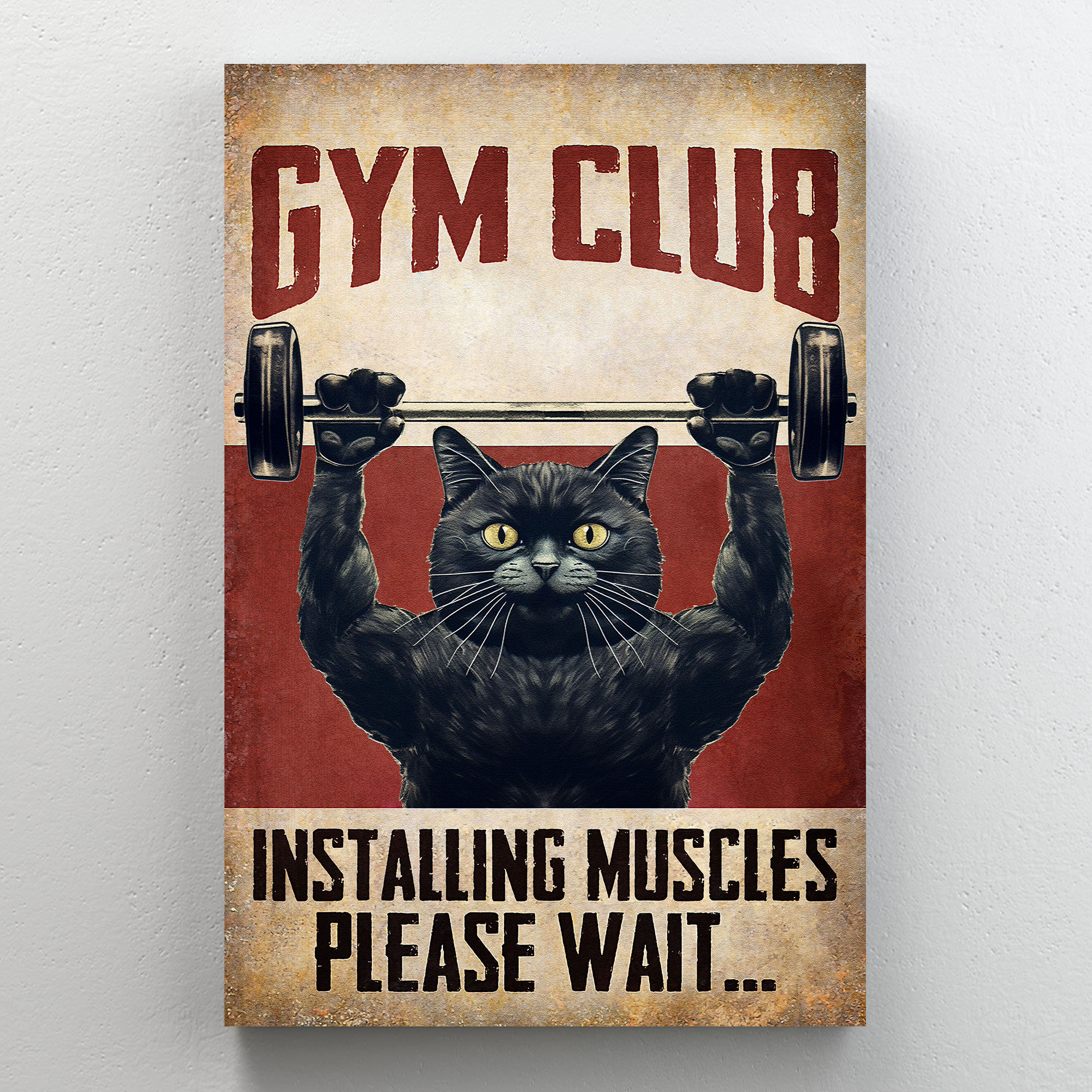 Trinx Cat Practicing Gym - Gym Club Instaling Muscles Please Wait ...